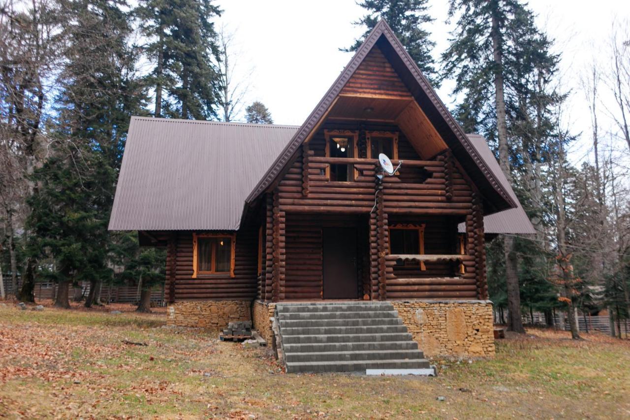 Forest cottage архыз. Архыз Виладж. Архыз Форест отель. Форест коттедж Архыз. Нарат Вилладж Архыз.